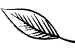 gmp-certified